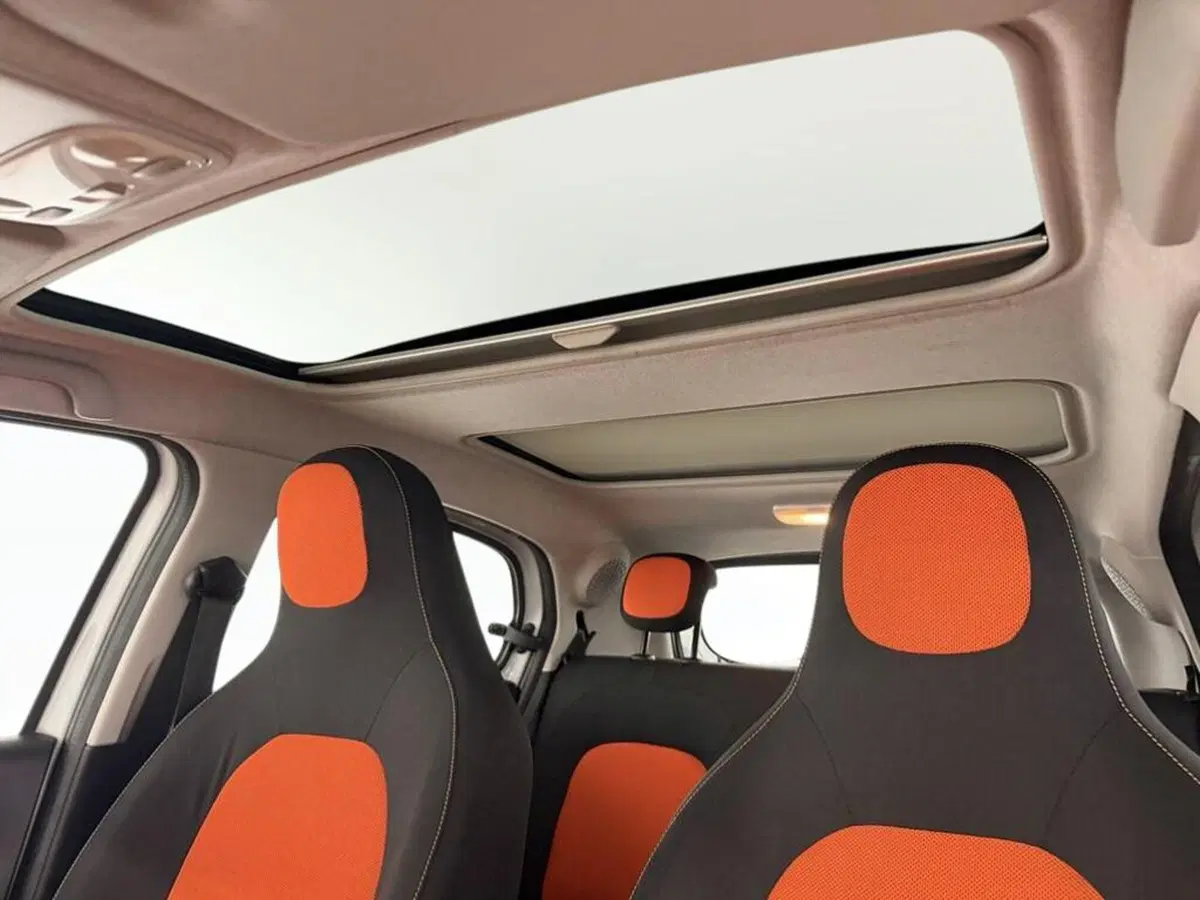 smart forfour usata a Monza e Brianza (9)