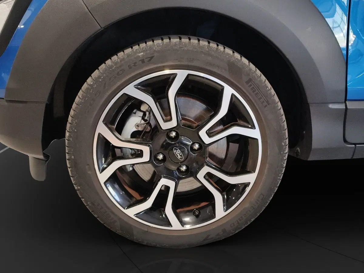 Ford EcoSport usata a Genova (18)