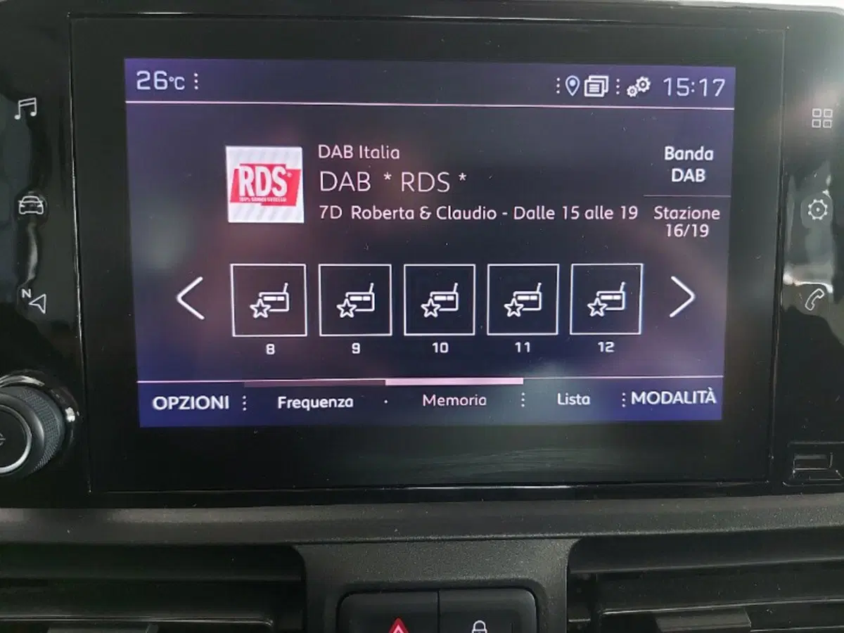Peugeot Rifter usata a Pordenone (10)