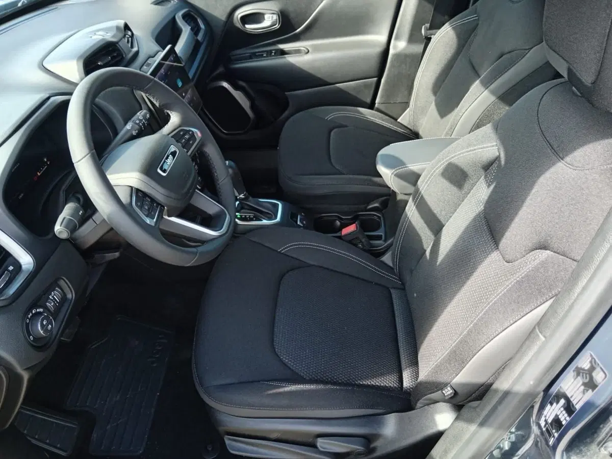 Jeep Renegade usata a Alessandria (11)