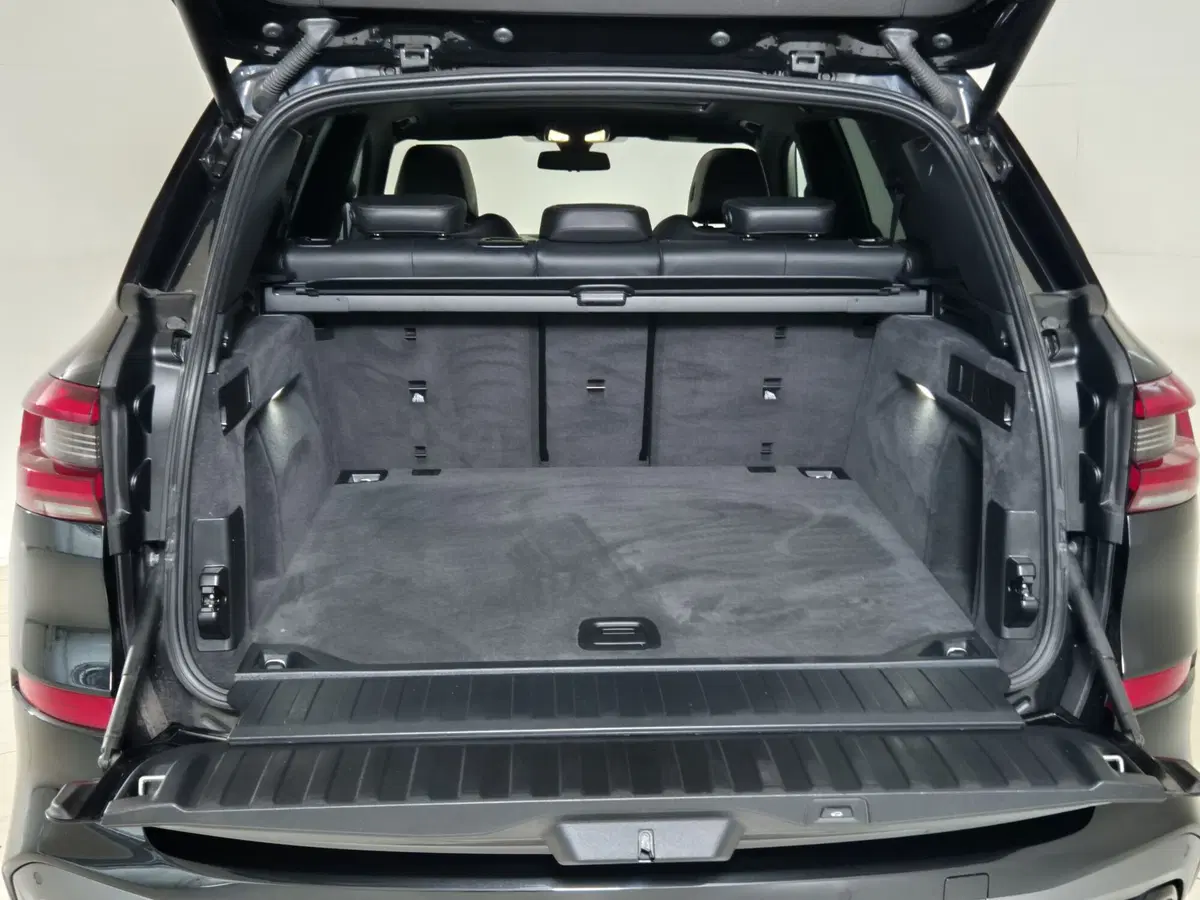 BMW X5 usata a Torino (13)
