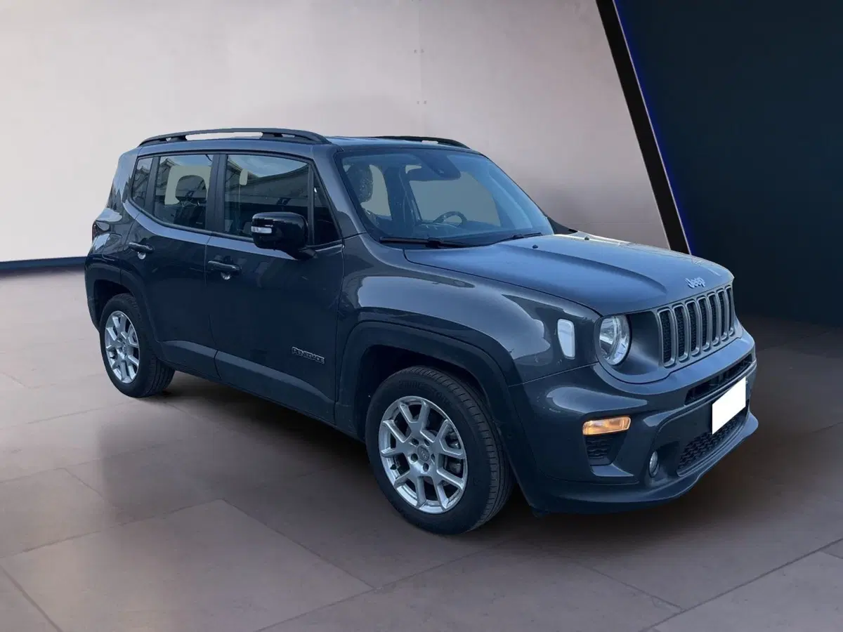 Jeep Renegade usata a Torino (2)
