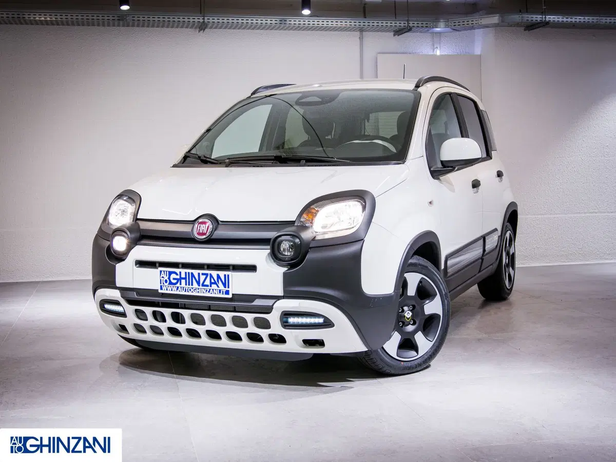 Fiat Pandina nuova a Bergamo (2)