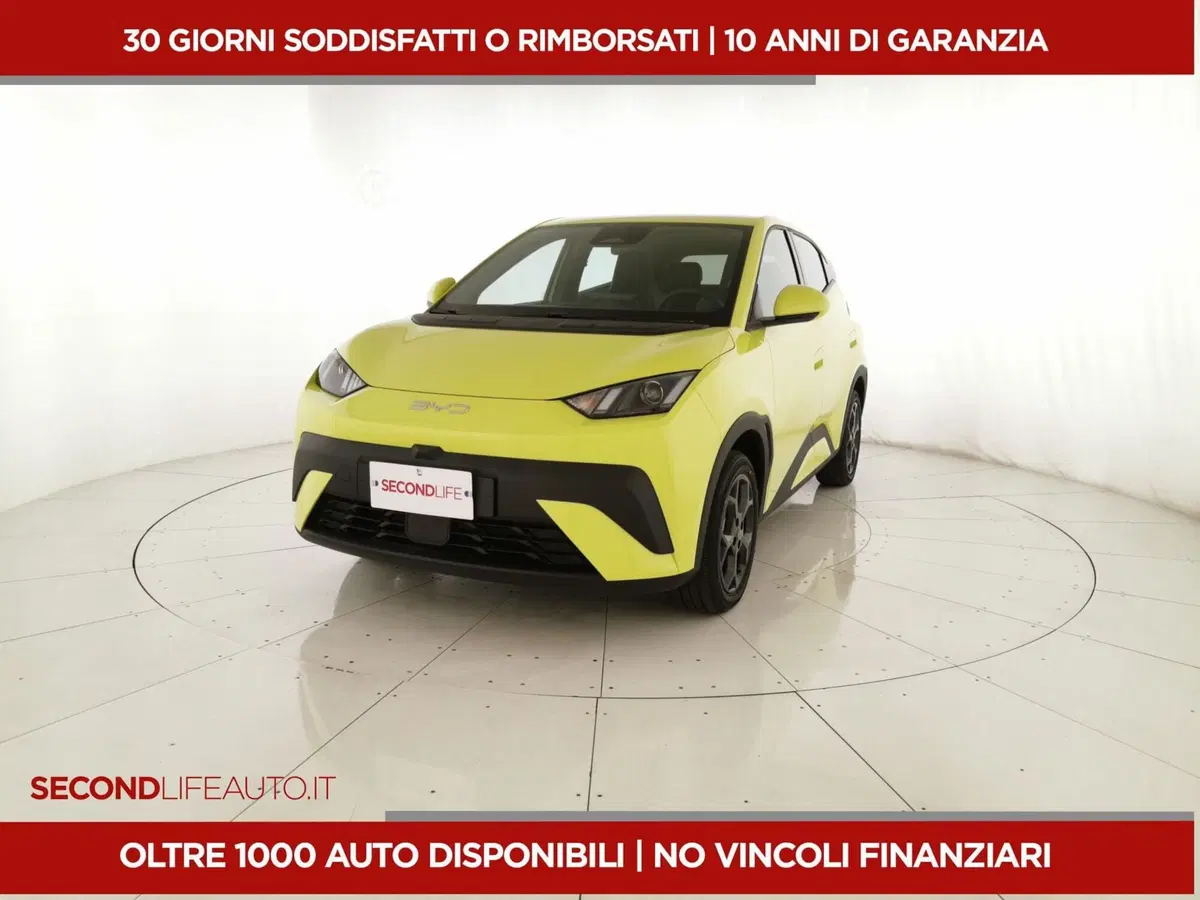 Byd Dolphin Surf nuova a Chieti