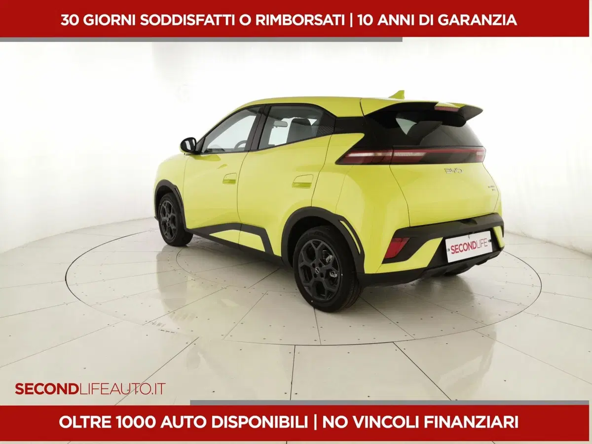 Byd Dolphin Surf nuova a Chieti (3)