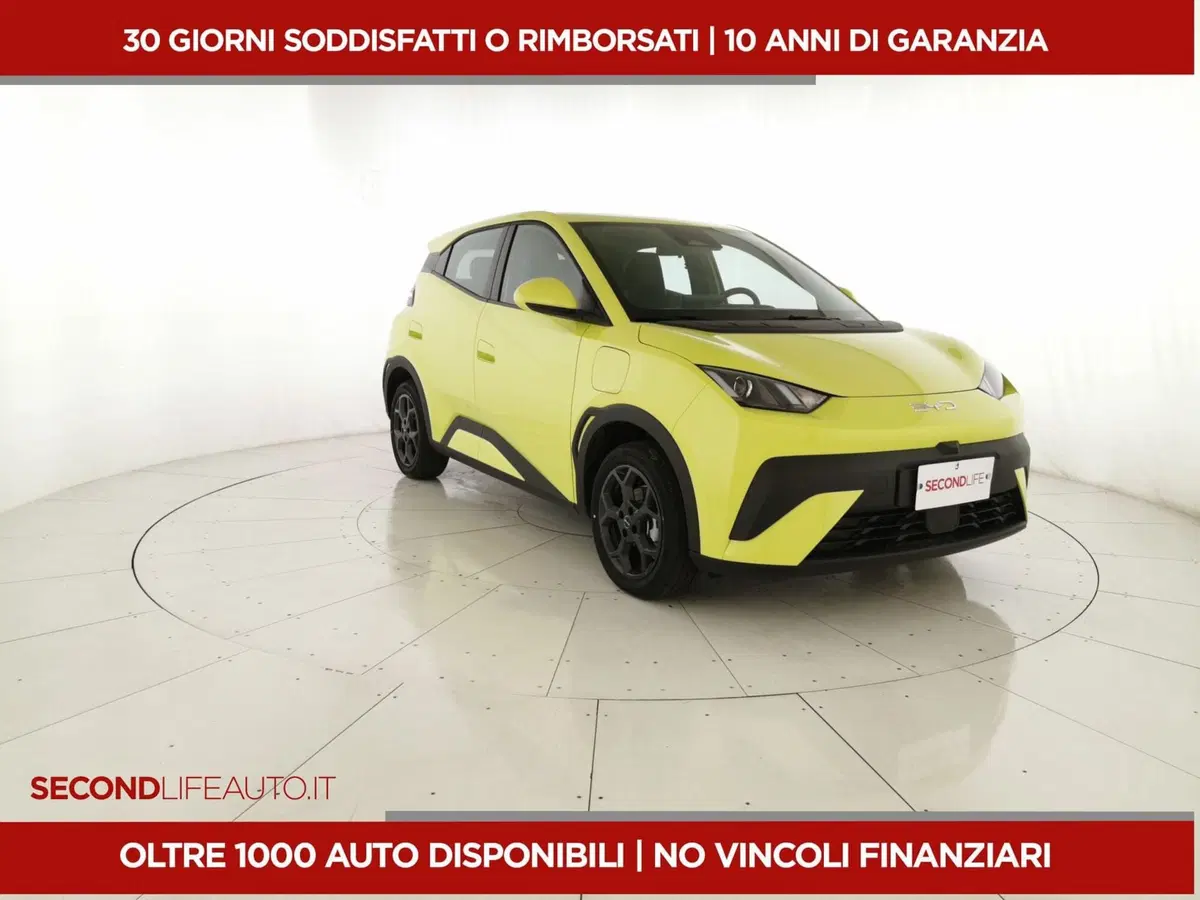 Byd Dolphin Surf nuova a Chieti (7)