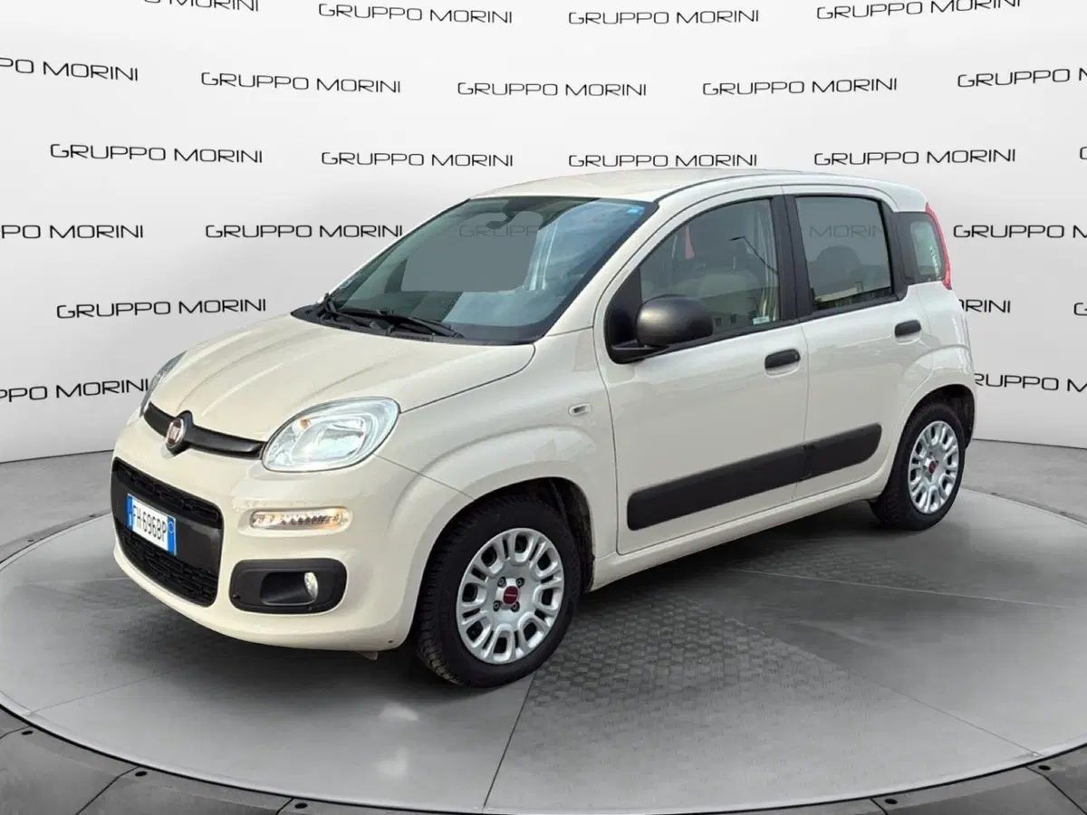 Fiat Panda usata a Mantova