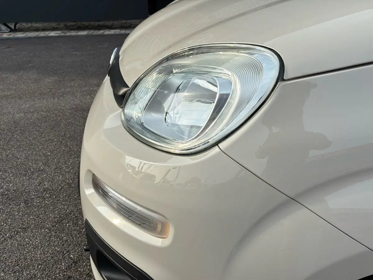 Fiat Panda usata a Mantova (10)