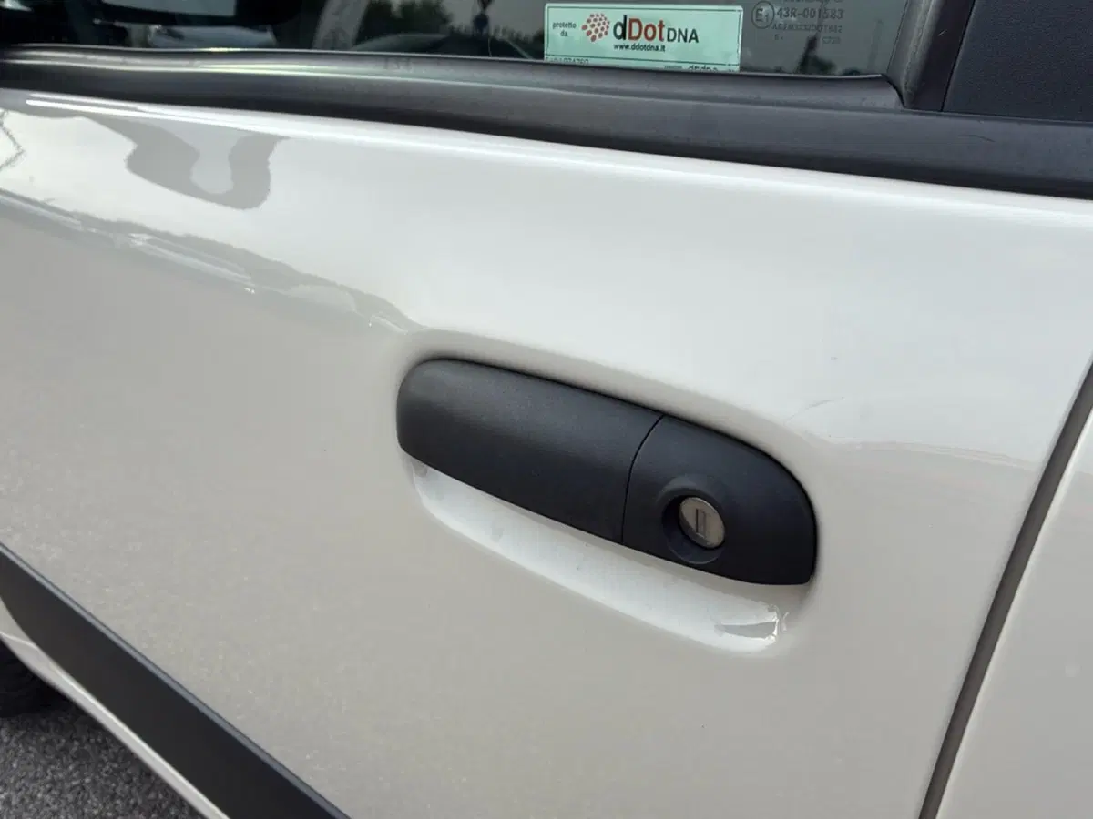 Fiat Panda usata a Mantova (11)