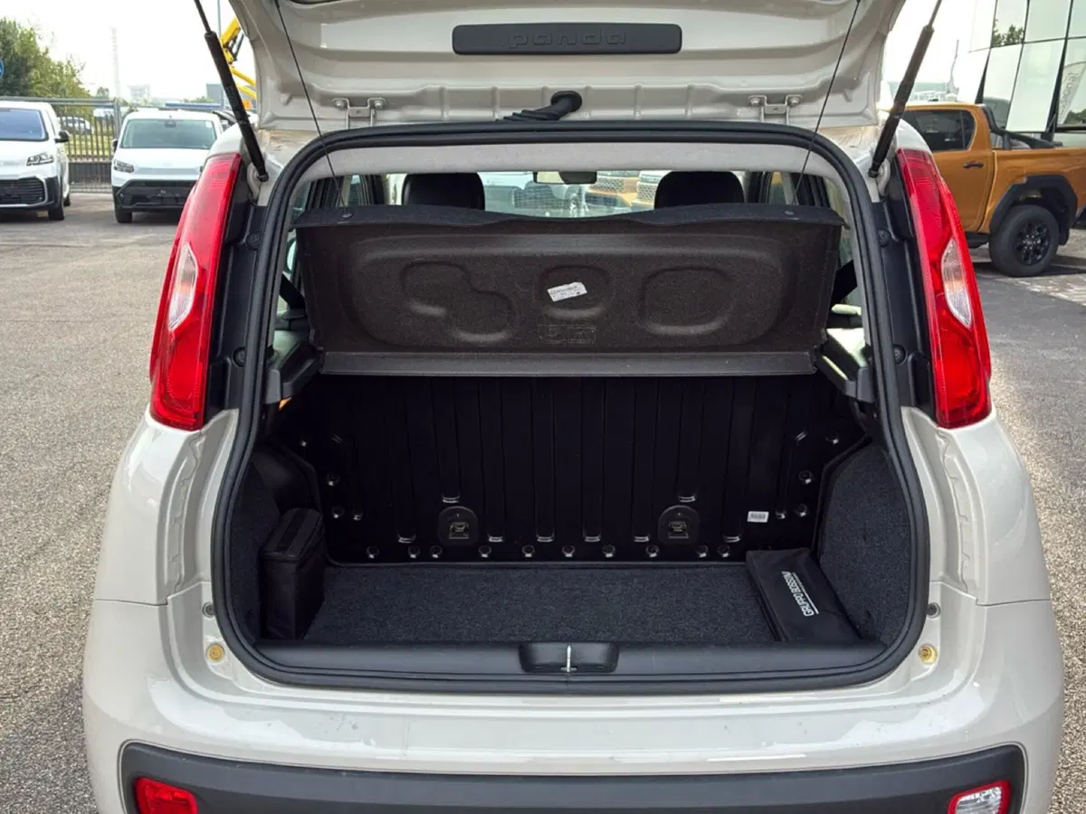 Fiat Panda usata a Mantova (13)