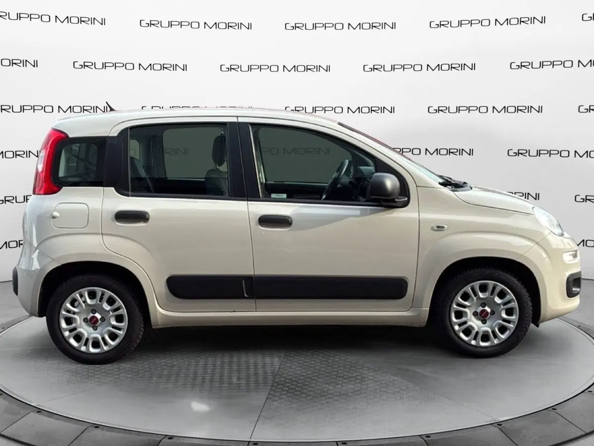 Fiat Panda usata a Mantova (6)