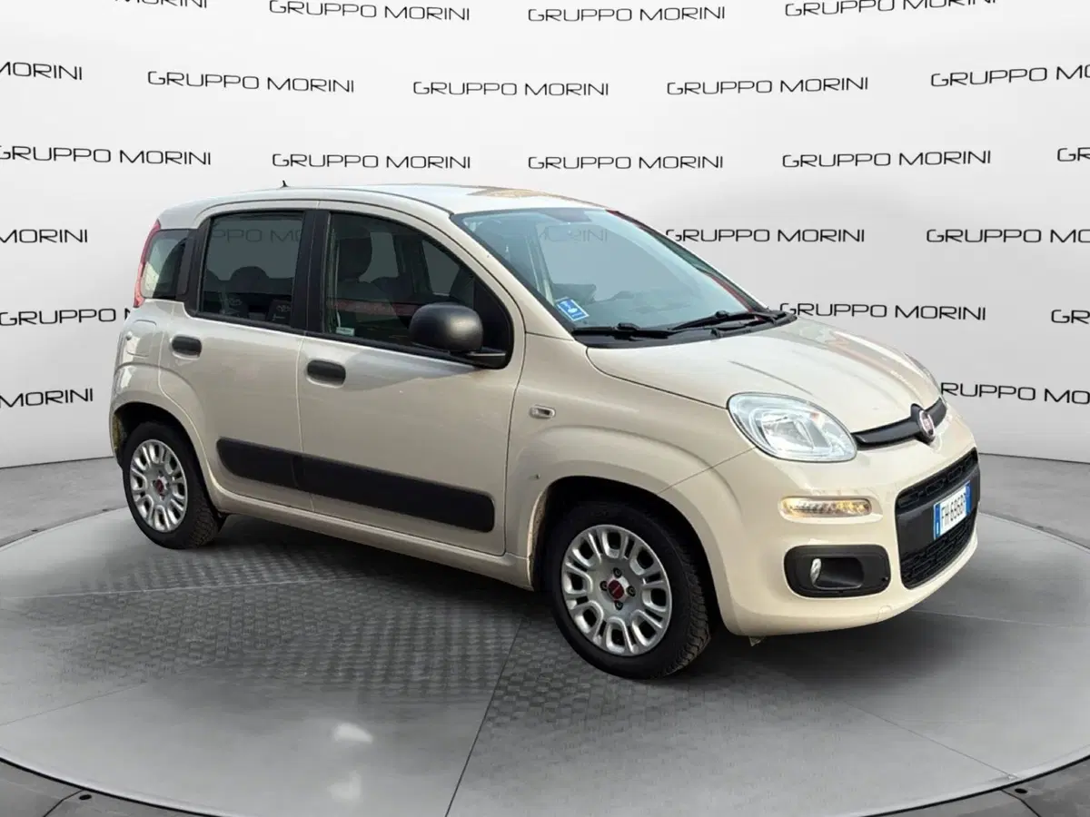 Fiat Panda usata a Mantova (7)