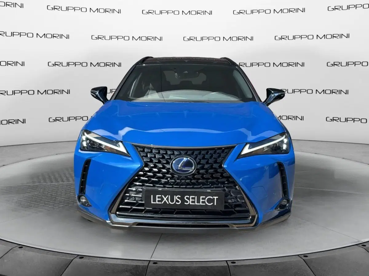 Lexus UX usata a Bologna