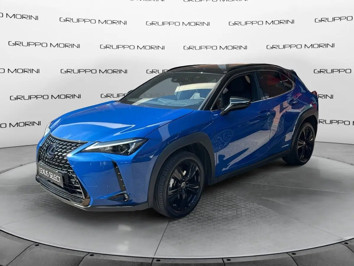Lexus UX usata a Bologna (3)