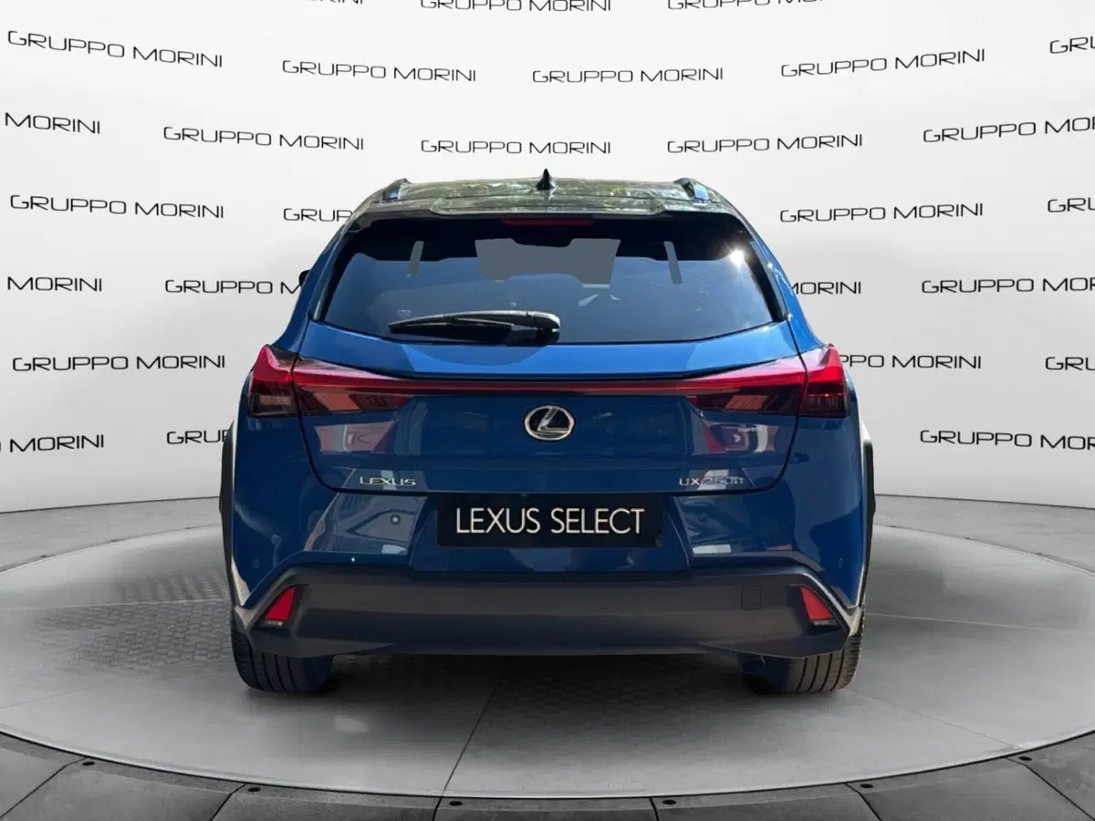 Lexus UX usata a Bologna (4)