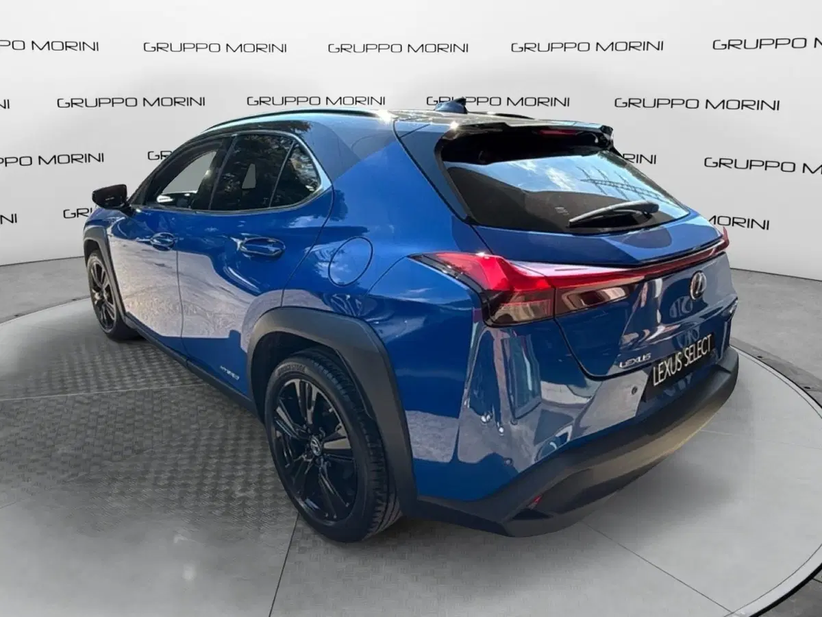 Lexus UX usata a Bologna (5)