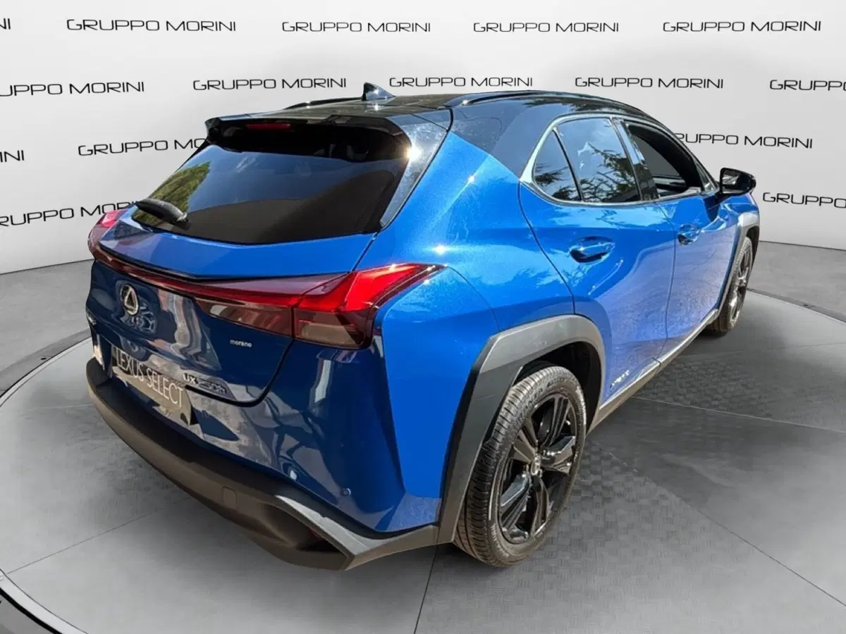 Lexus UX usata a Bologna (6)