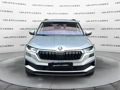 Skoda Karoq 1.5 TSI ACT DSG Style del 2024 usata a San Lazzaro di Savena
