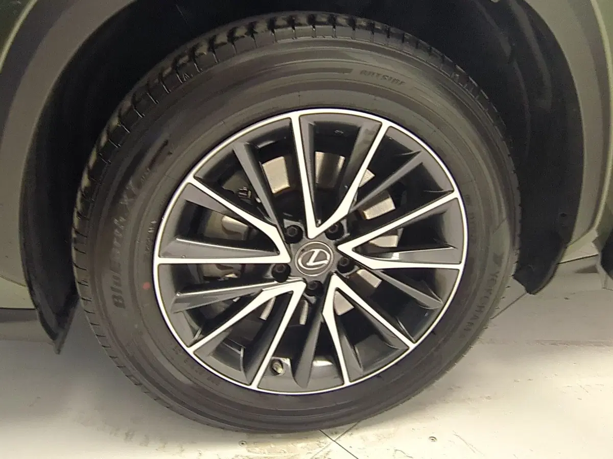 Lexus NX usata a Avellino (10)