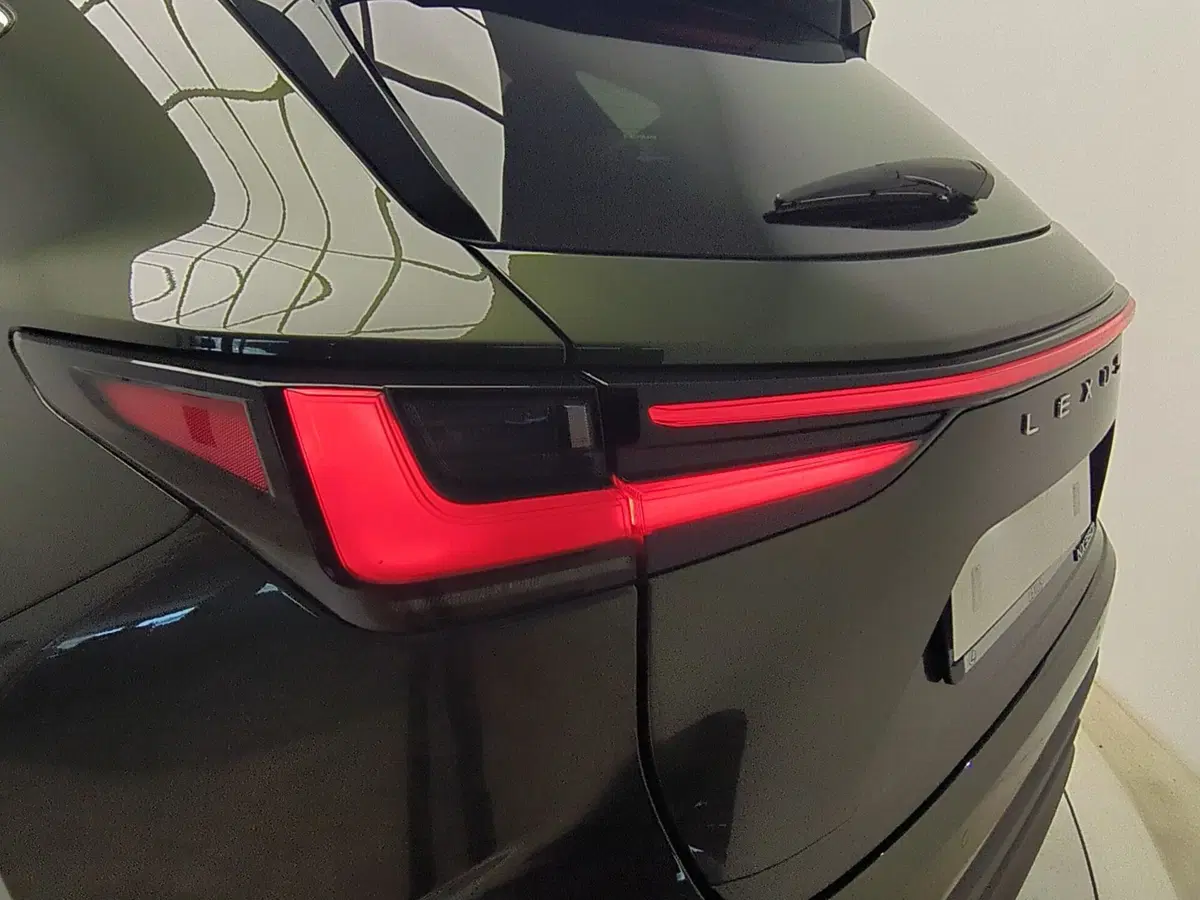 Lexus NX usata a Avellino (11)
