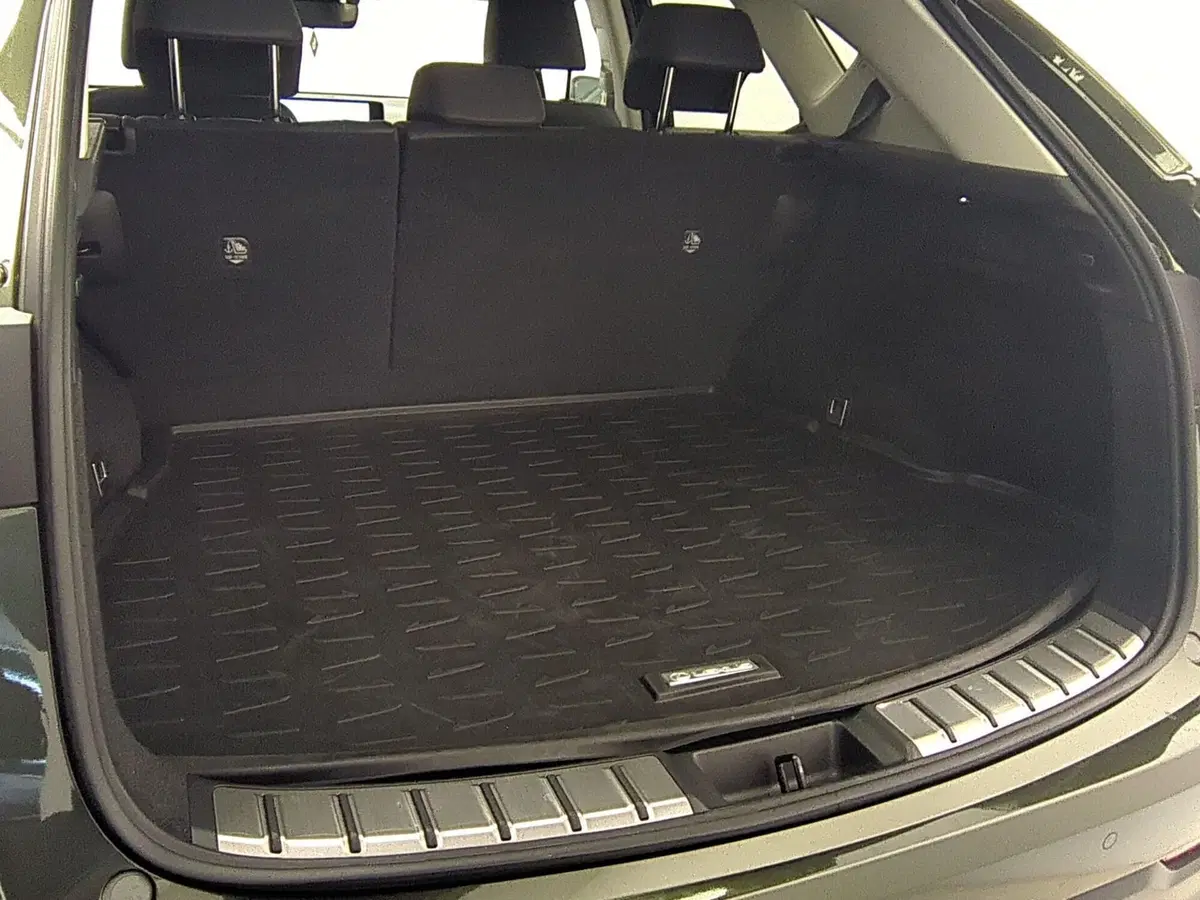 Lexus NX usata a Avellino (12)