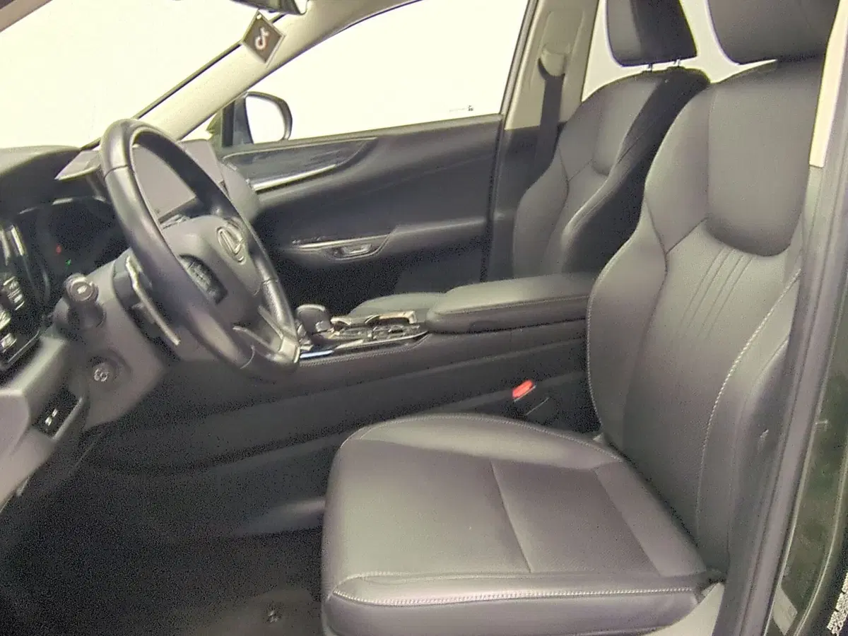 Lexus NX usata a Avellino (18)
