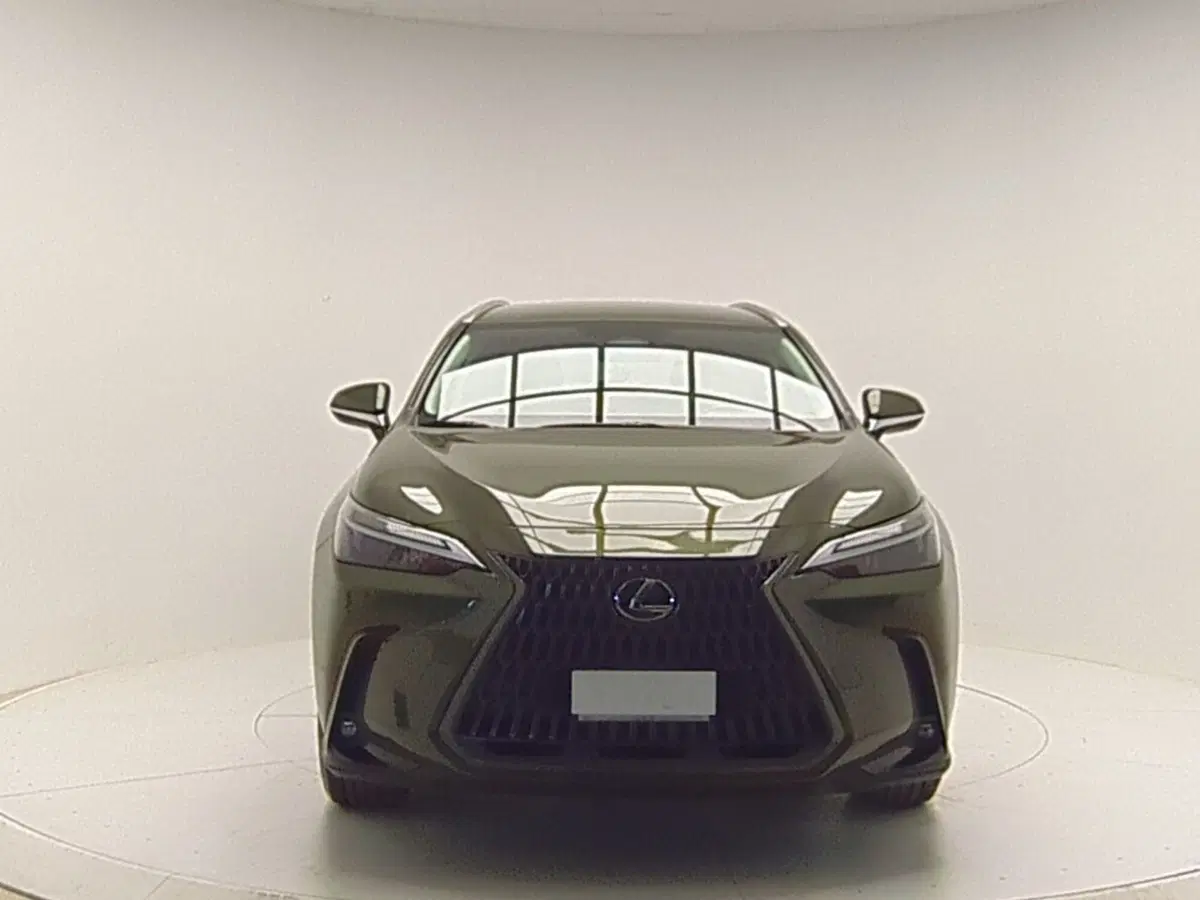 Lexus NX usata a Avellino (2)