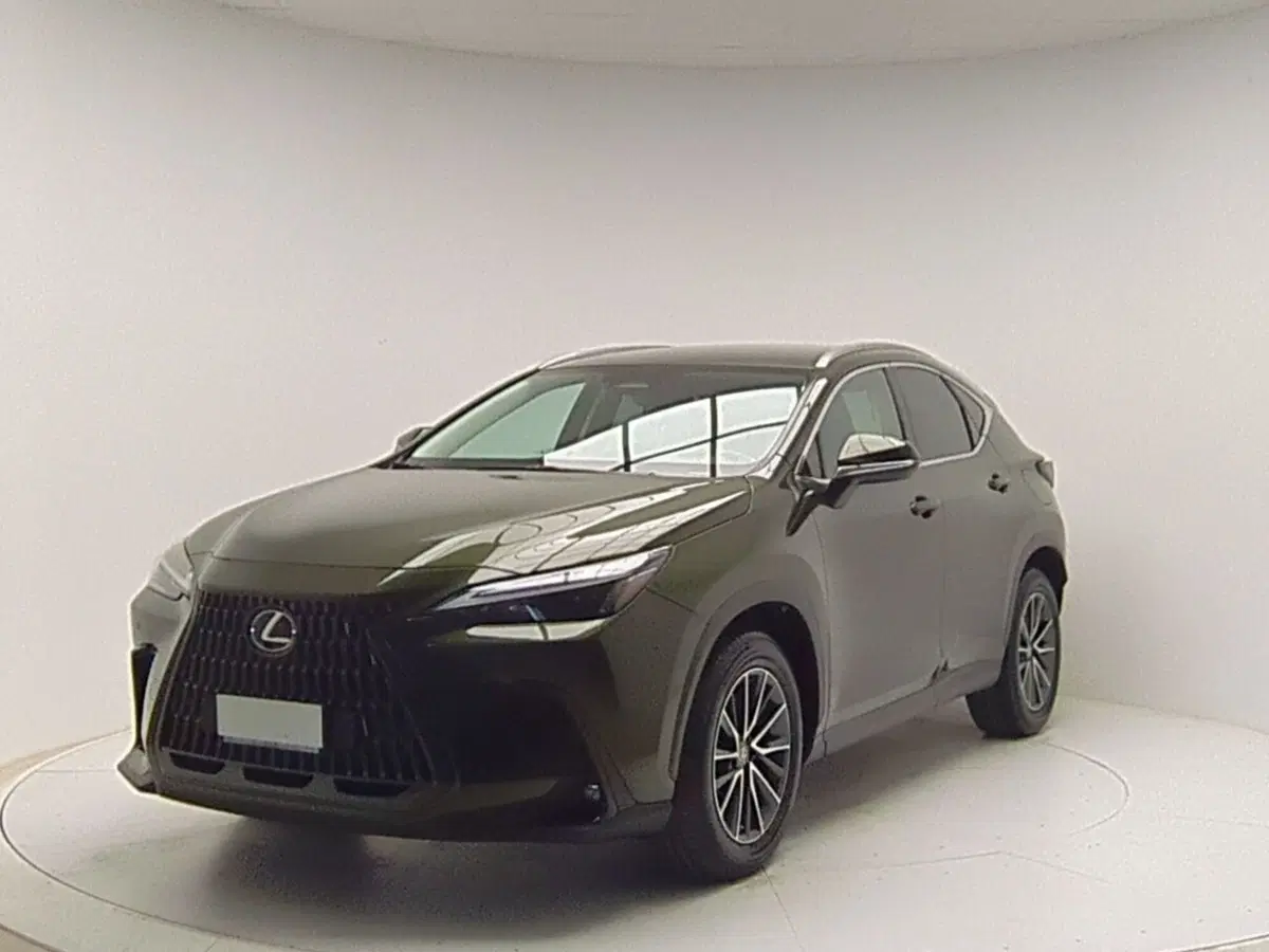 Lexus NX usata a Avellino (3)