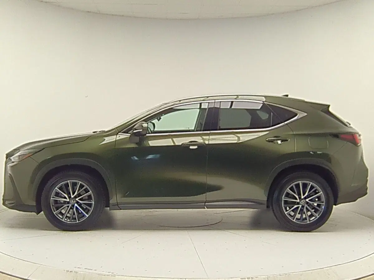 Lexus NX usata a Avellino (4)