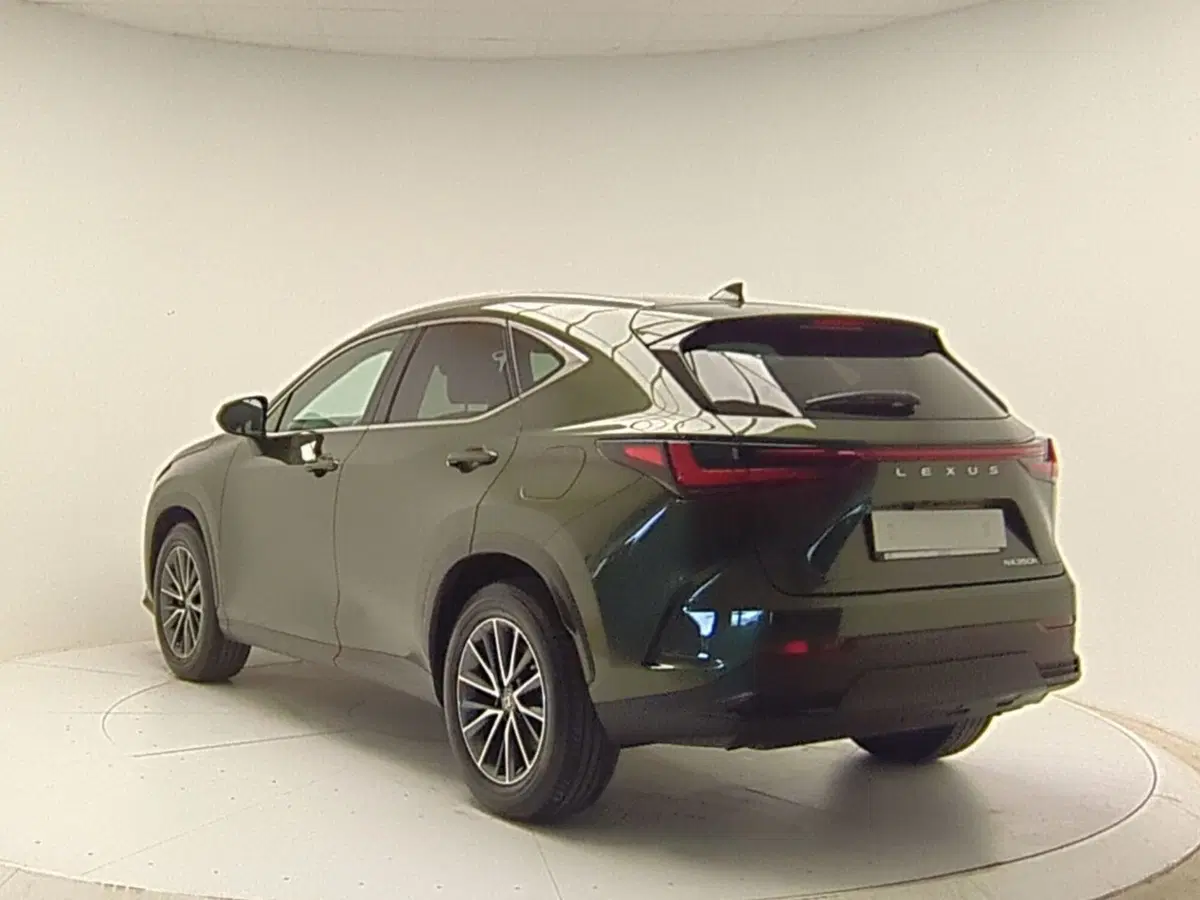 Lexus NX usata a Avellino (5)