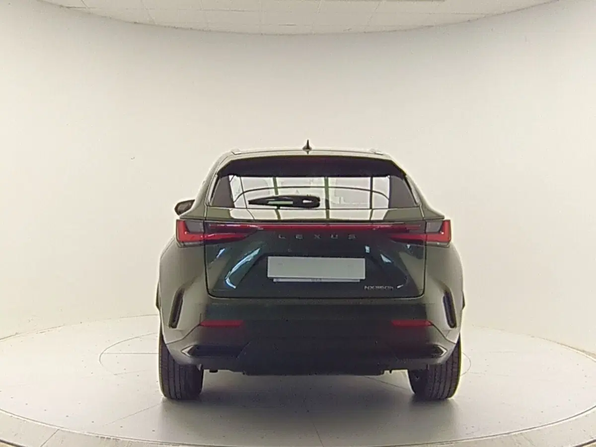Lexus NX usata a Avellino (6)