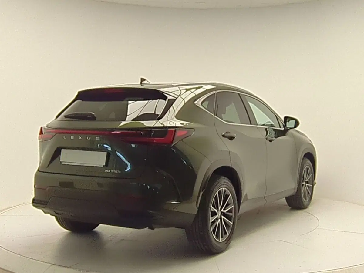 Lexus NX usata a Avellino (7)