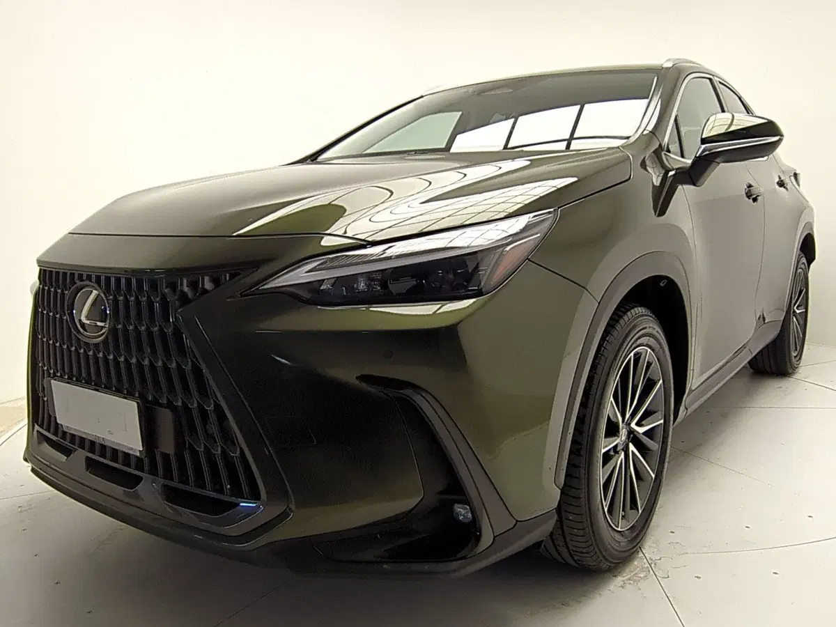 Lexus NX usata a Avellino (8)