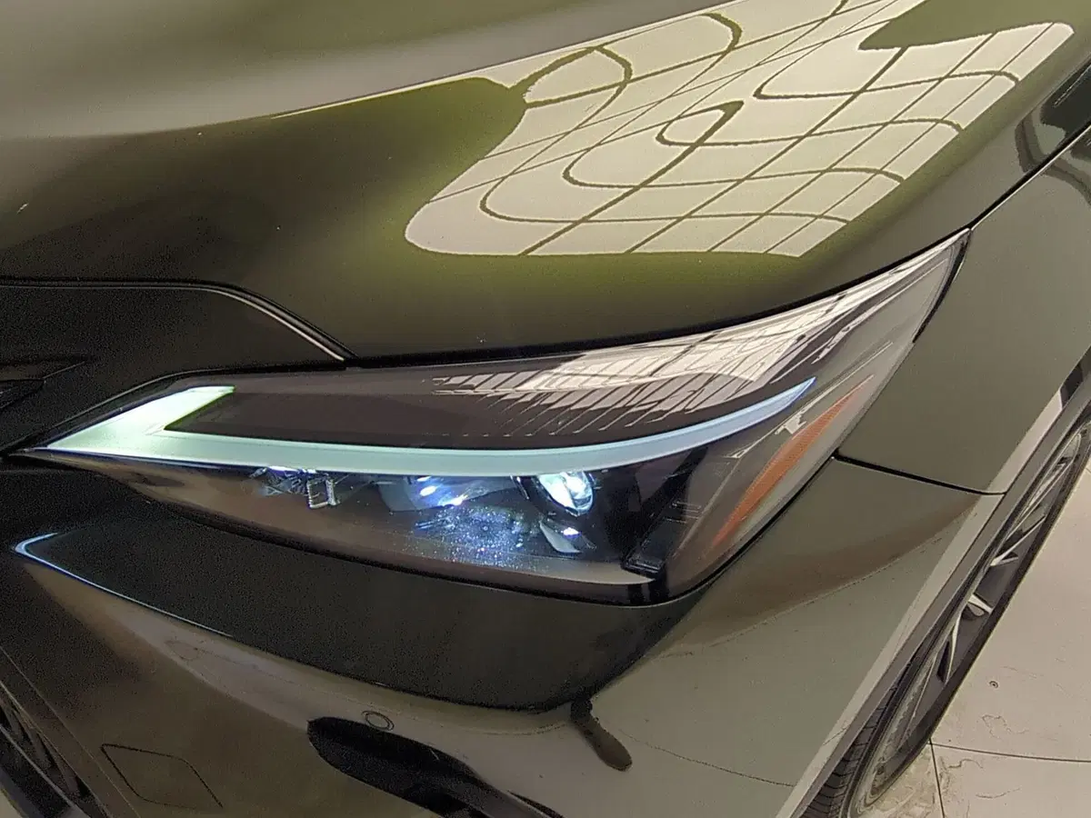 Lexus NX usata a Avellino (9)