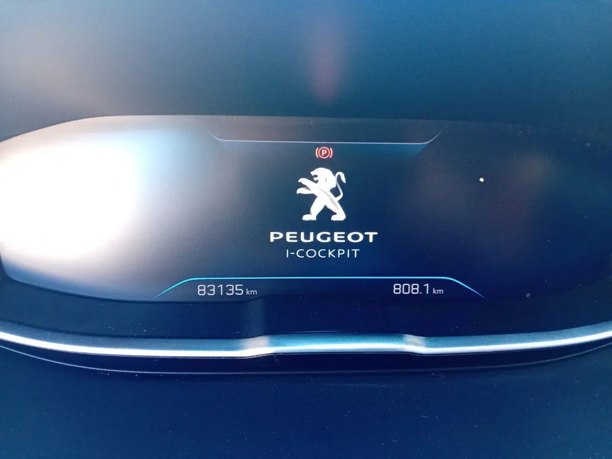 Peugeot 3008 usata a Pordenone (16)