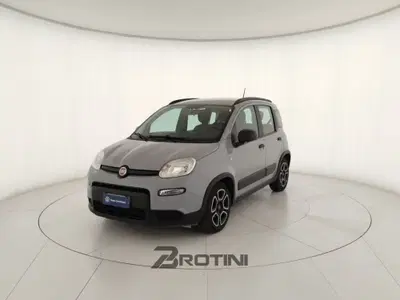 Fiat Panda 1.0 FireFly S&S Hybrid City Cross del 2022 usata a Massa