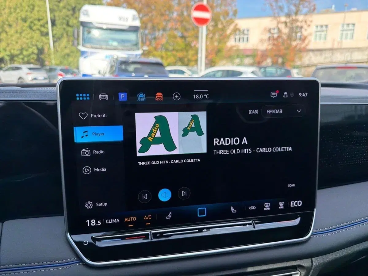 Volkswagen Tiguan usata a Firenze (15)