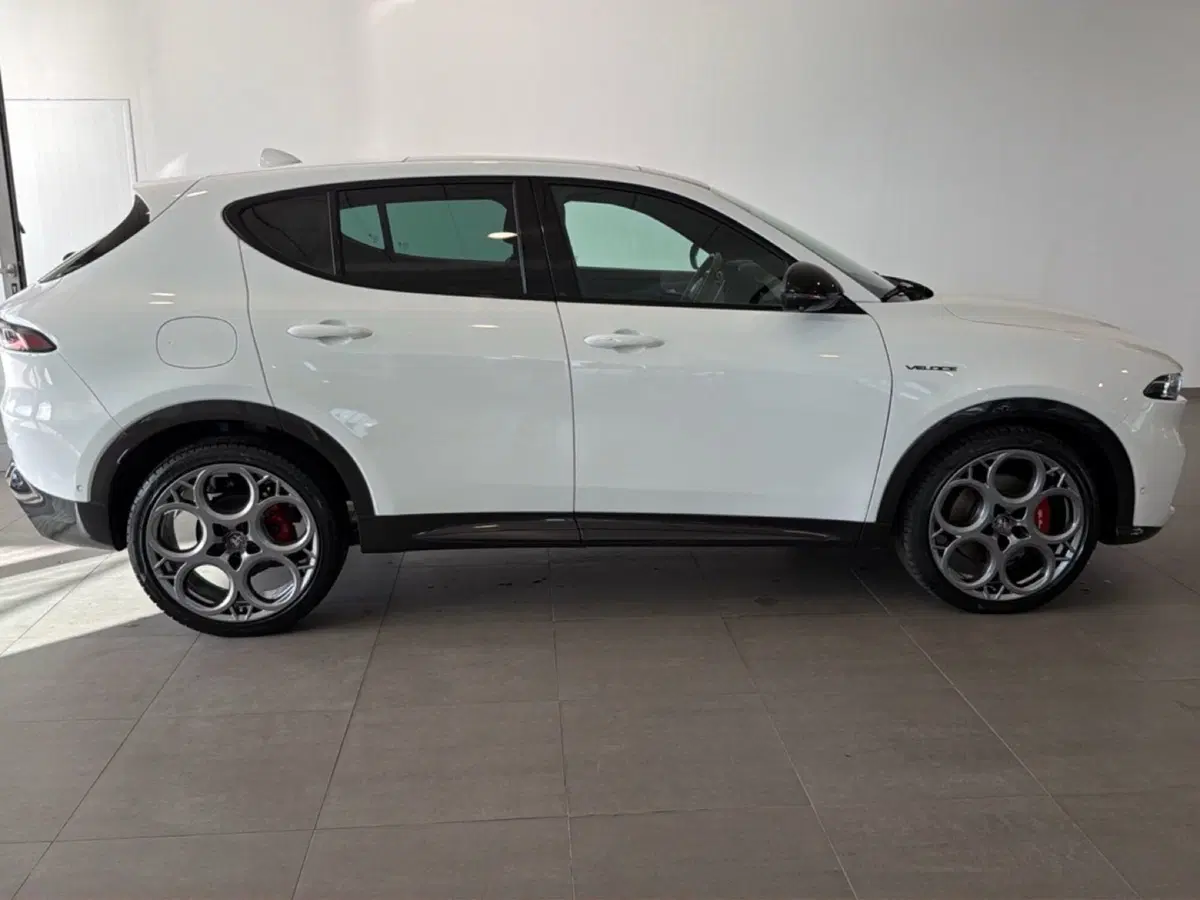 Alfa Romeo Tonale usata a Arezzo (7)