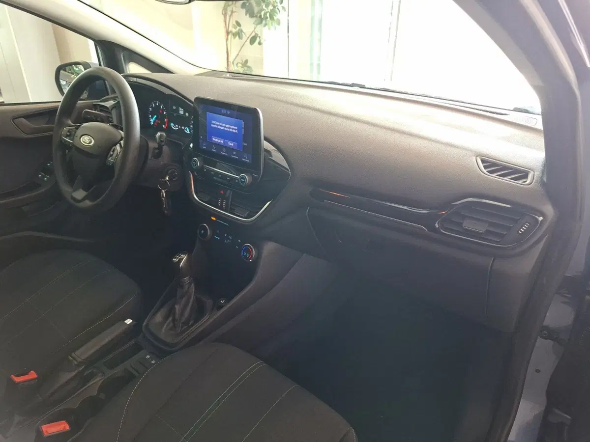 Ford Fiesta usata a Arezzo (10)