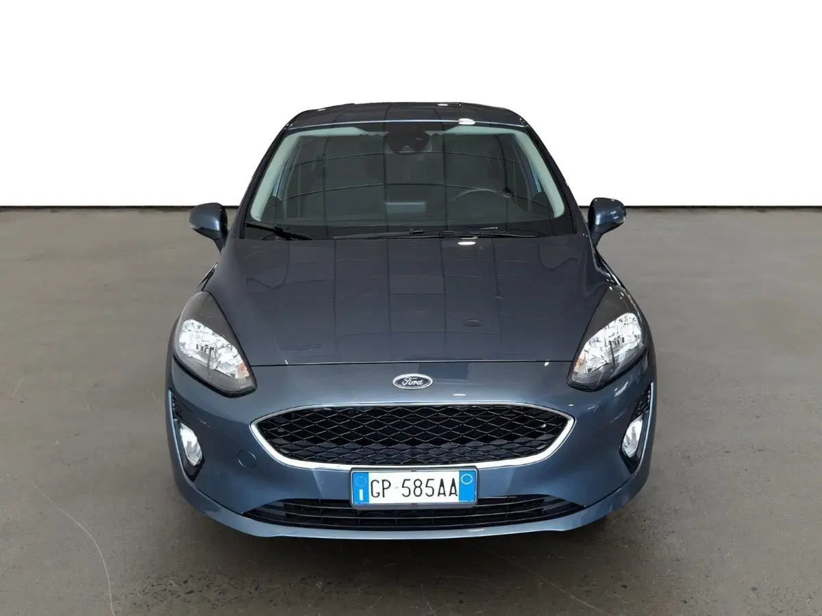 Ford Fiesta usata a Arezzo (2)