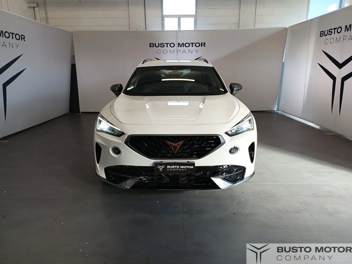 Cupra Formentor usata a Varese (2)