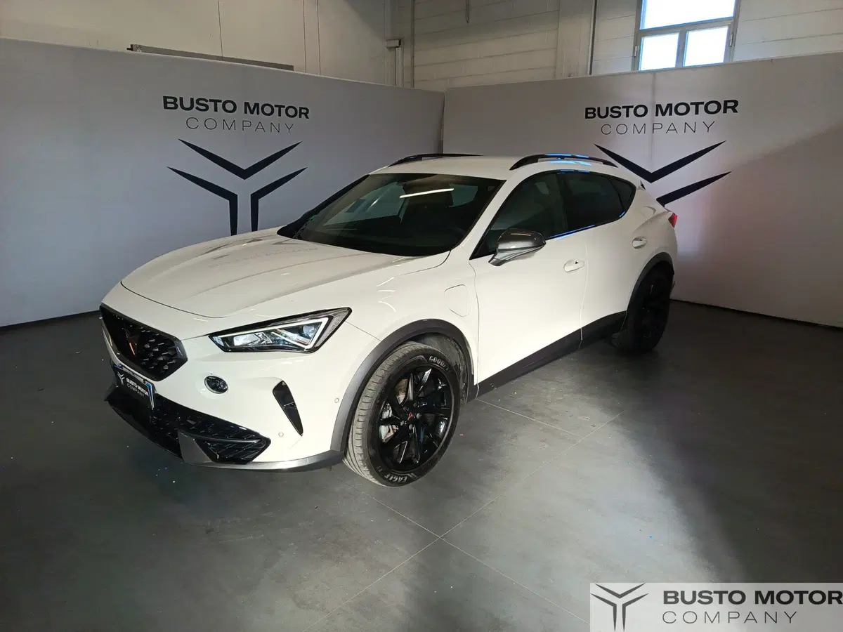 Cupra Formentor usata a Varese (3)