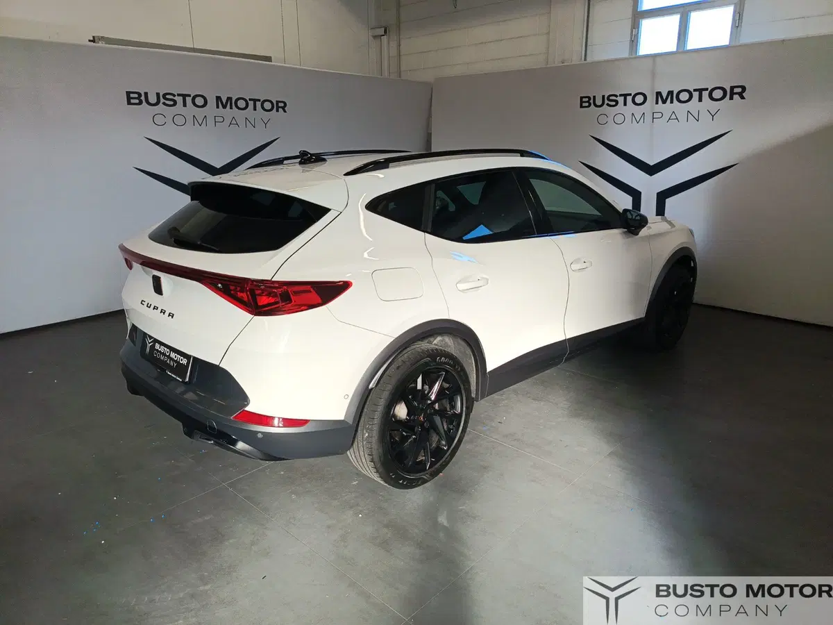 Cupra Formentor usata a Varese (4)