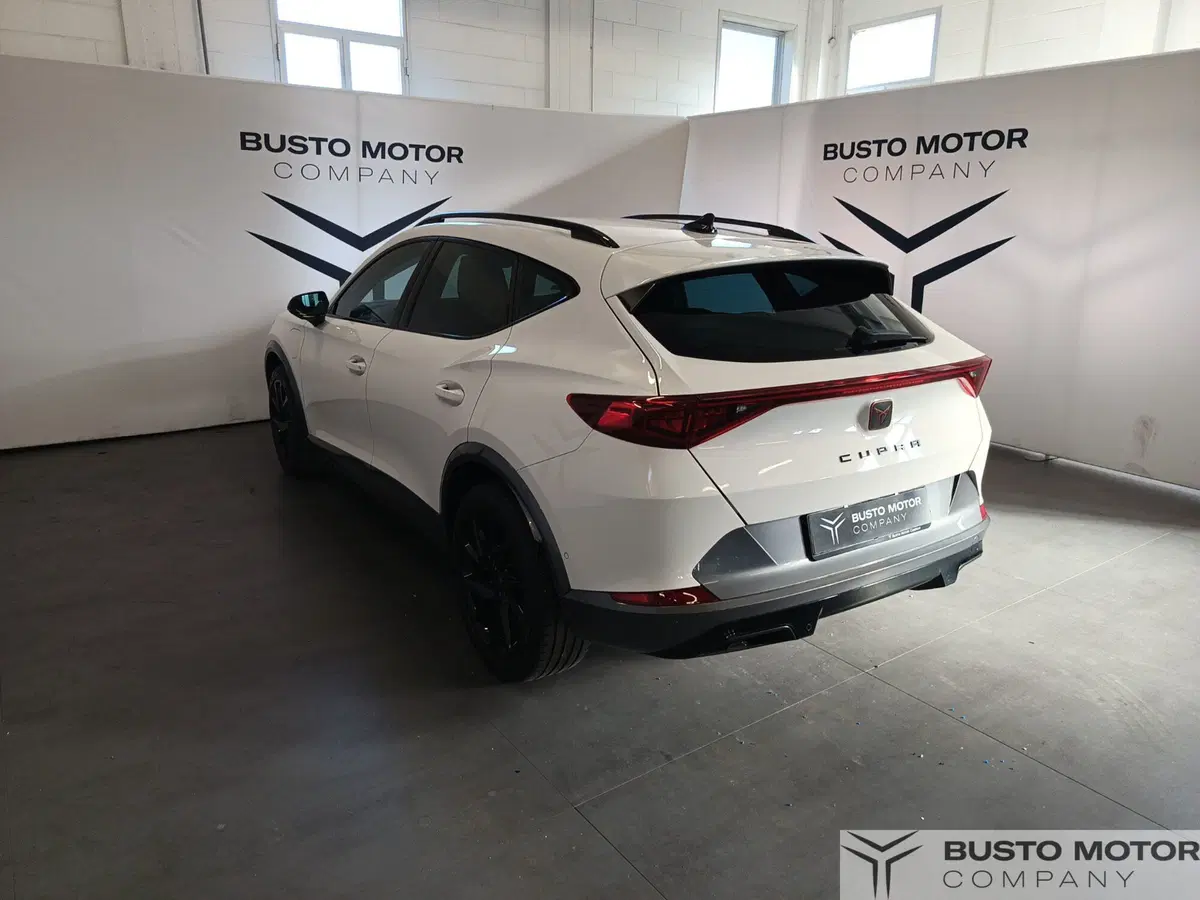 Cupra Formentor usata a Varese (6)