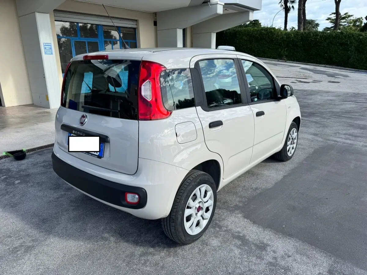 Fiat Panda usata a Macerata (4)