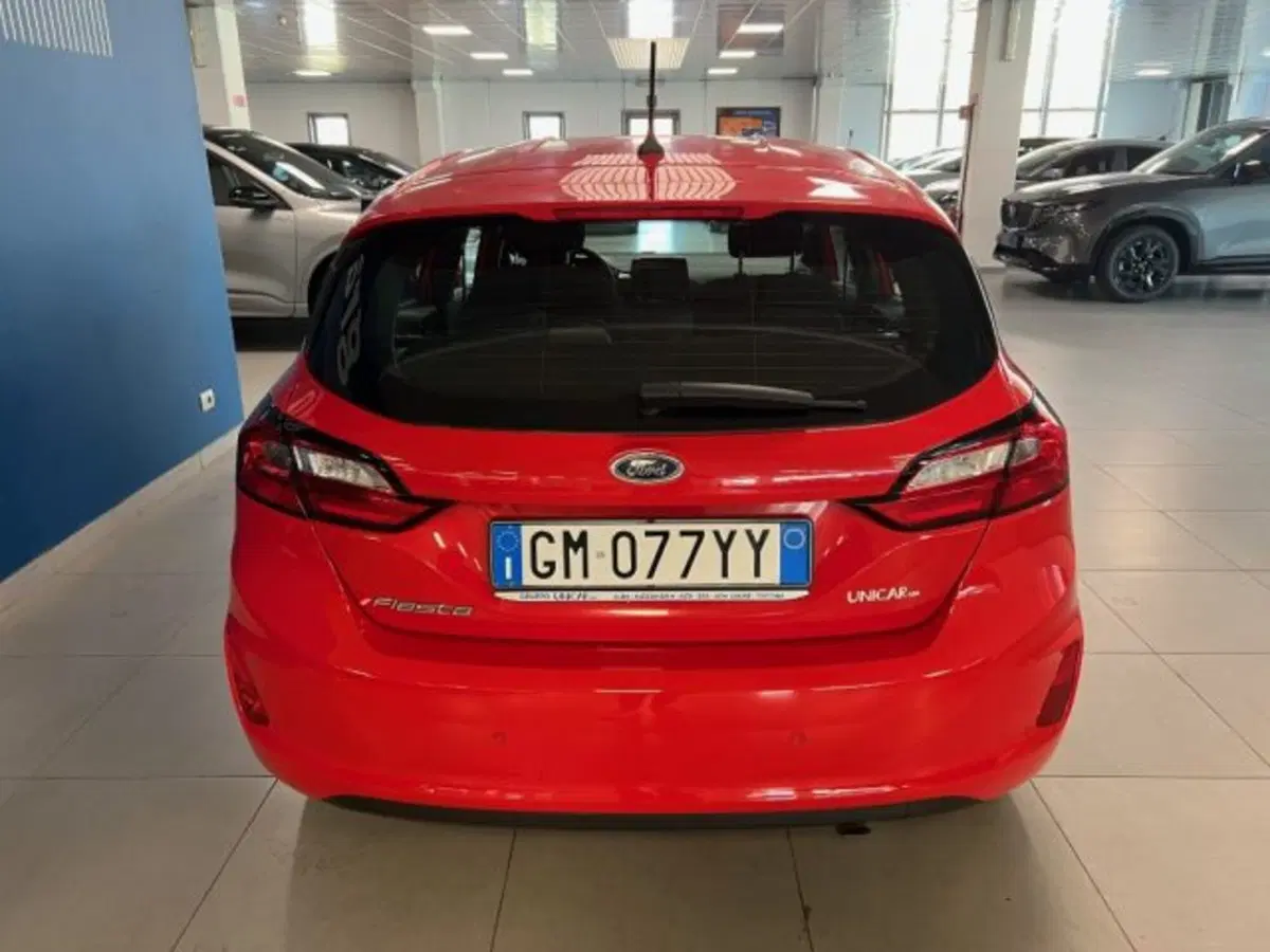 Ford Fiesta usata a Cuneo (5)