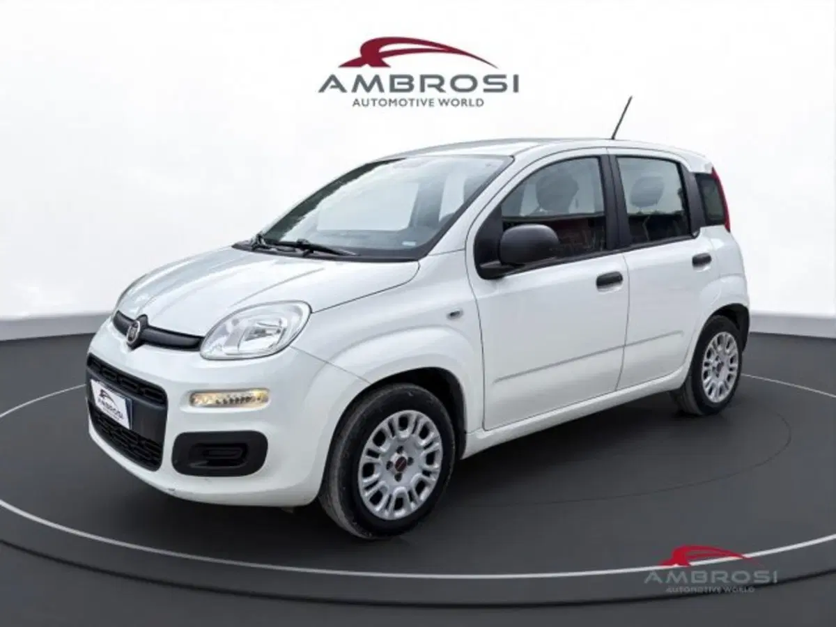 Fiat Panda usata a Perugia