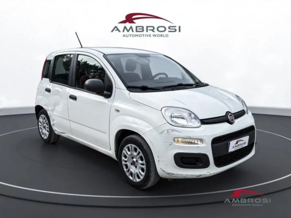 Fiat Panda usata a Perugia (2)