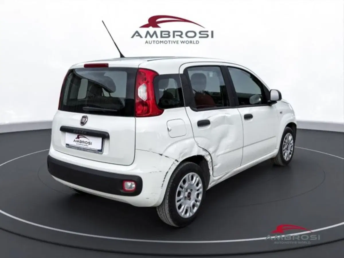 Fiat Panda usata a Perugia (3)