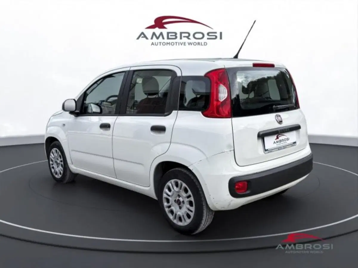 Fiat Panda usata a Perugia (4)
